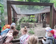 Wycieczka do Mini Zoo