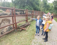 Wycieczka do Mini ZOO