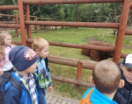 Wycieczka do Mini ZOO