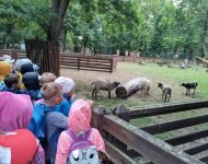 Wycieczka do Mini ZOO