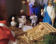 "Chatka Świętego Mikołaja"