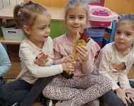 WIELKI SUKCES "MOTYLKÓW"