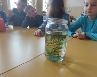 Dzień wody 