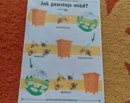 DZIEŃ PSZCZOŁY