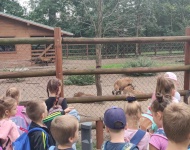 Wycieczka do Straży Pożarnej i Mini ZOO