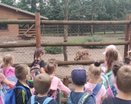 Wycieczka do Straży Pożarnej i Mini ZOO