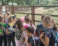 Wycieczka do Straży Pożarnej i Mini ZOO