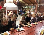 Dzień Pyry