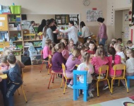 Wielki sukces Biedronek i Pszczółek
