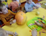 DZIEŃ DYNI