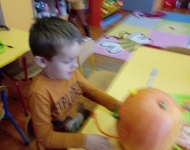 DZIEŃ DYNI