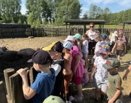 Wycieczka "Wesołe ranczo" "Biedronki", "Pszcz