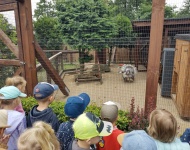 Wycieczka do Mini Zoo w Lesznie