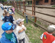 Wycieczka do Mini Zoo w Lesznie