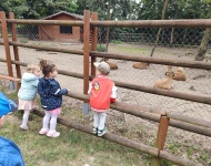 Wycieczka do Mini Zoo w Lesznie