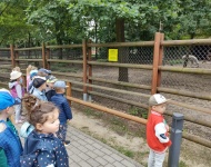 Wycieczka do Mini Zoo w Lesznie