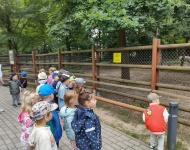 Wycieczka do Mini Zoo w Lesznie