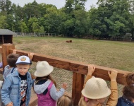 Wycieczka do Mini Zoo w Lesznie