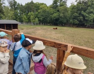 Wycieczka do Mini Zoo w Lesznie