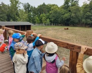 Wycieczka do Mini Zoo w Lesznie