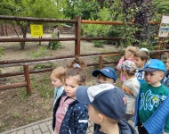 Wycieczka do Mini Zoo w Lesznie