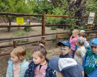 Wycieczka do Mini Zoo w Lesznie