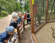 Wycieczka do Mini Zoo w Lesznie