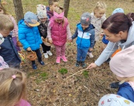 WYCIECZKA DO LASU