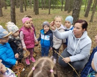 WYCIECZKA DO LASU