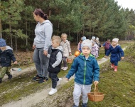 WYCIECZKA DO LASU