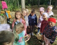 WYCIECZKA DO LASU